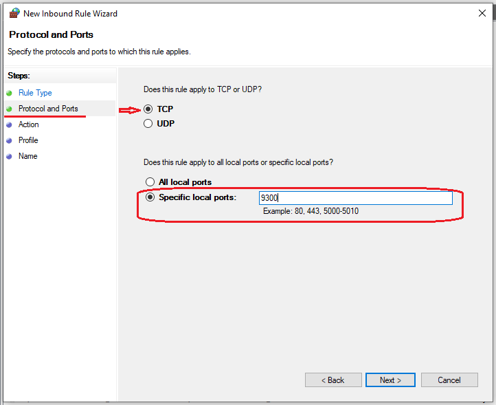 Access Website Hosted In IIS On LAN